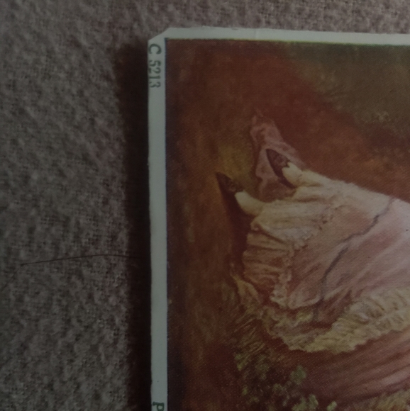 Small  panting - Picture 4 of 4